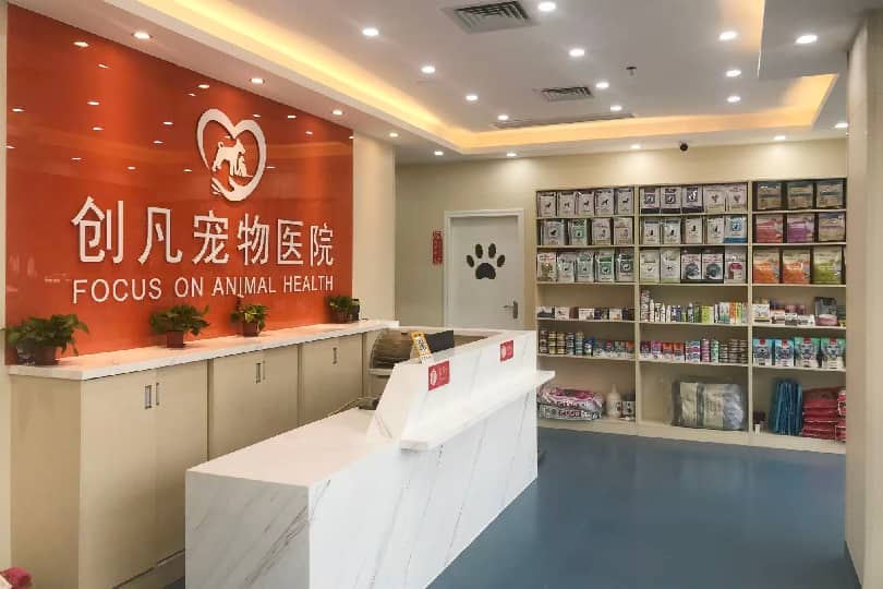 2026年深圳异宠医生推荐，守护小众爱宠