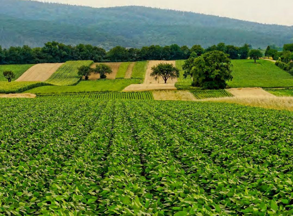 2026年江苏知名的农产品服务商哪家好？三十年深耕领行业